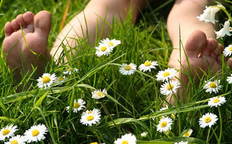 Feet on grass, rest, grass, relax, layed, holydays, daisies, soles, green, nature, barefoot, HD wallpaper
