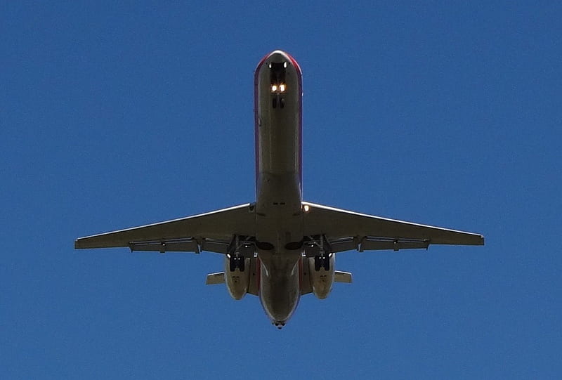Eagle Overhead, aircraft, plane, airplane, jet, sky, HD wallpaper