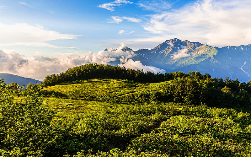 The Chugush Caucasus, mountains, summer, Adygea, Russia, Asia, beautiful nature, HD wallpaper