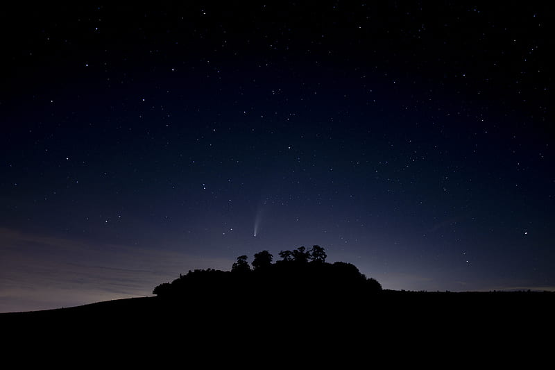 starry sky, stars, trees, silhouette, night, HD wallpaper