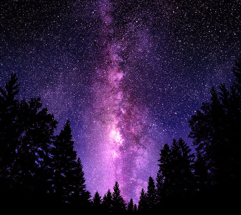 Sky, black, forest, galaxy, nebula, night, purple, stars, HD wallpaper