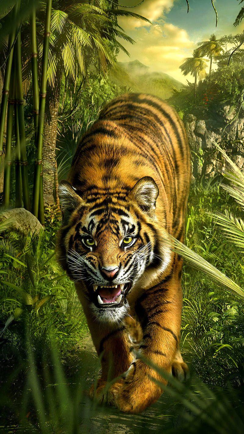 Tiger, animal, drawings, forest, wild, HD phone wallpaper | Peakpx