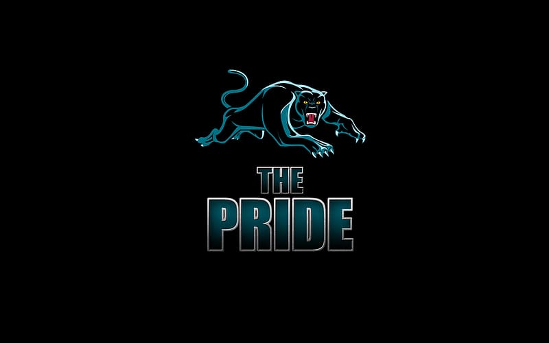 Sports, Logo, Rugby, Nrl, National Rugby League, Penrith Panthers, HD wallpaper
