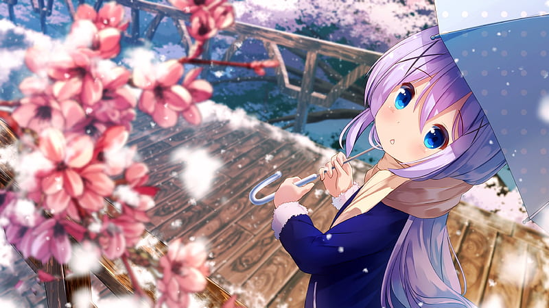 Kafuu Chino, anime girls, Gochuumon wa Usagi Desu ka, Kirima Sharo, Hoto  Kokoa, Ujimatsu Chiya - wallpaper #128761 (1920x1080px) on