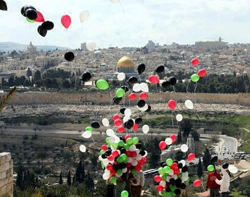 I Love You Palestine :) #, qq, we, sd, ew, HD wallpaper