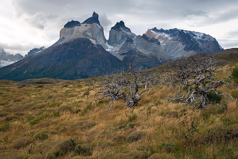 Mountains, Mountain, Chile, Patagonia, Torres del Paine National Park, HD wallpaper