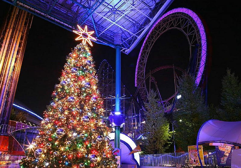 Giant christmas tree, stars, christmas tree, christmas, sparks, bow, ribbons, seasons, xmas, lights, winter, tree, nice, HD wallpaper