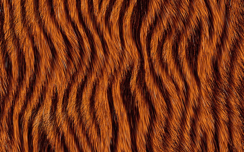 tiger texture, macro, orange black background, tiger skin texture, black orange stripes, striped skin, tiger background, tiger wool, HD wallpaper