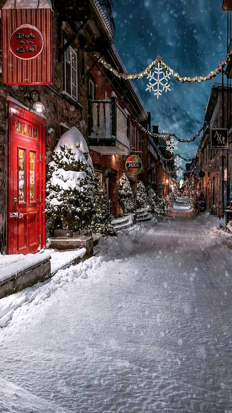 Christmas night, christ, christmas tree, decoration, holiday, snow, street, village, winter, HD phone wallpaper
