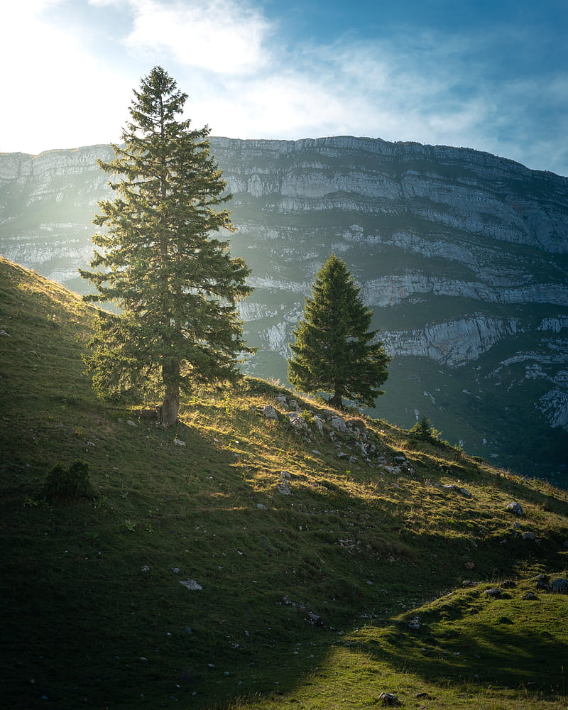 mountain, trees, slope, nature, landscape, HD phone wallpaper