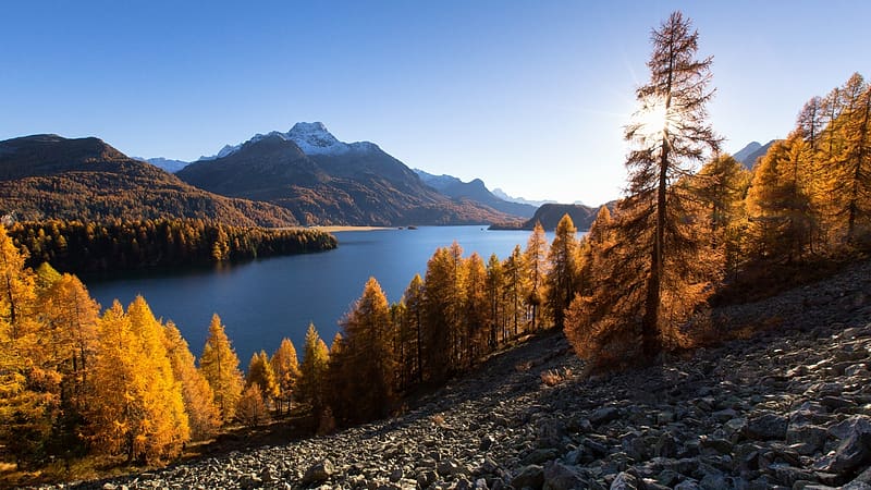 Lake Sils, Upper Engadine, Switzerland, landscape, trees, autumn, water, mountains, rocks, alps, HD wallpaper