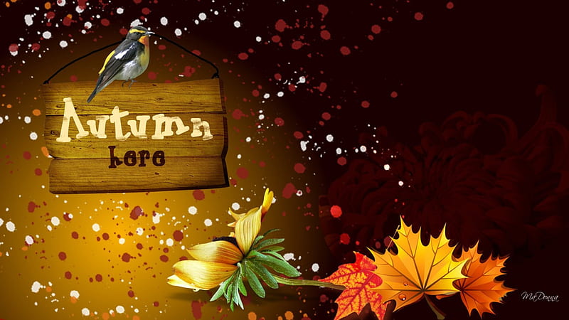 Autumns Here, fall, flowers, sprinkles, autumn, brown, orange, sign, scatter, leaves, gold, bird, amber, bright, flowers, HD wallpaper