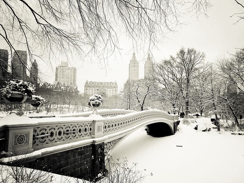 Winter, New York, Manhattan, Central Park, , Bow Bridge, HD wallpaper
