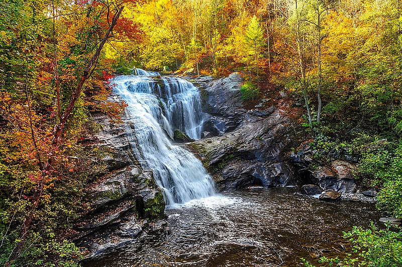 The Falls at Bald River, waterfall, forest, autumn, tennessee, colors, HD wallpaper