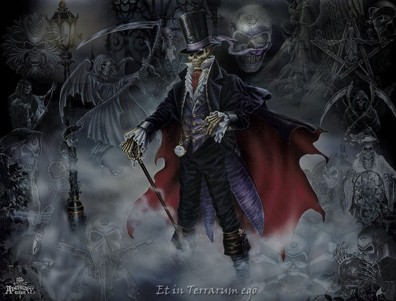 Alchemy Gothic, skeleton, cane, cross bones, reapers, fog, top hat, guns, cape, skull, HD wallpaper