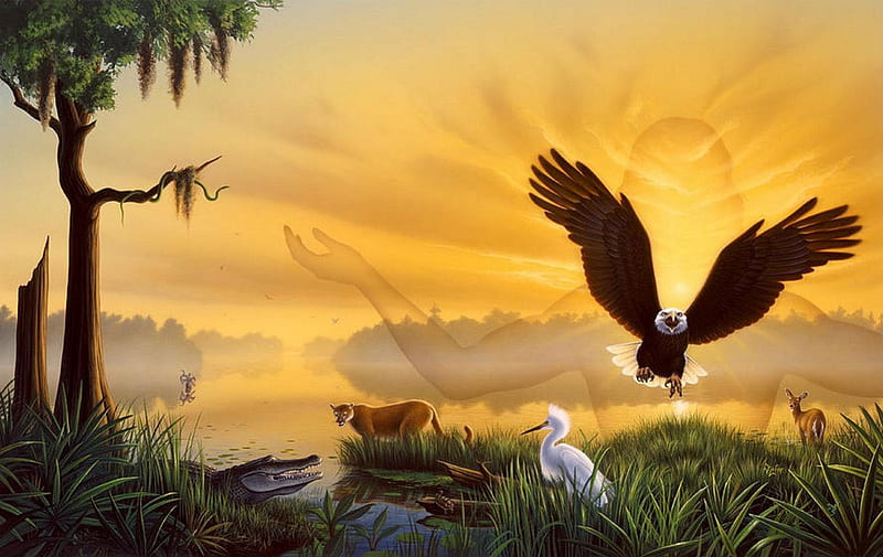 Majestic Eagle, bald eagle, birds, sunset, artwork, landscape, HD wallpaper