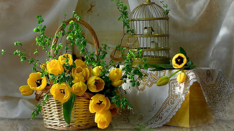 Still Life, birds, flowers, cage, basket, HD wallpaper