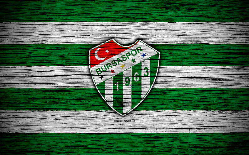 Bursaspor Turkey, wooden texture, Super Lig, soccer, football club, FC Bursaspor, art, football, Bursaspor FC, HD wallpaper