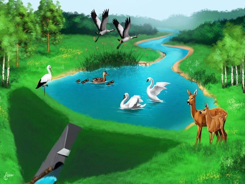 Green Landscape, pretty, scenic, bonito, swam, deer, animal, sweet, nice, duck, green, beauty, scenery, lovely, pond, water, bird, nature, scene, HD wallpaper