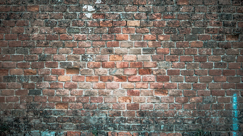 brown and black brick wall, HD wallpaper