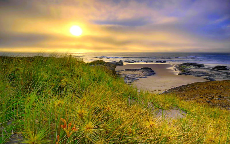  Buenos días naturaleza, orilla, sol, hierba, mar, Fondo de pantalla HD