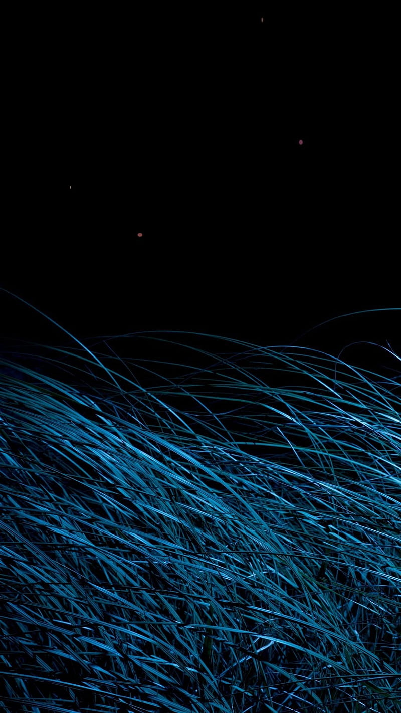 Blue grass, abstracts, black, light, HD phone wallpaper | Peakpx