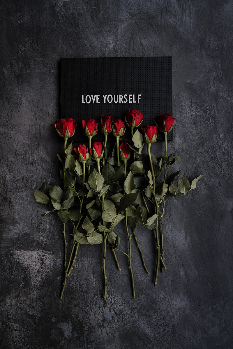 motivation, inscription, plate, flowers, roses, HD phone wallpaper