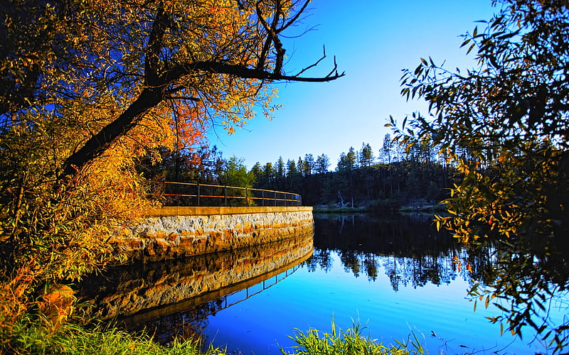 AUTUMN PARK, autumn, tree, ature, river, park, sky, HD wallpaper | Peakpx
