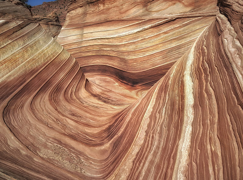 The Wave Coyote Butters, Paria Canyon... Ultra, United States, Arizona, Wilderness, traveldestination, coyotebuttesnorth, thewave, HD wallpaper