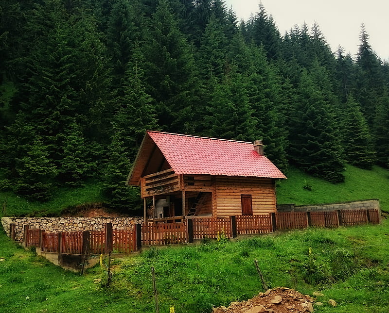 Wooden cabin, cabin, house, woods, HD wallpaper