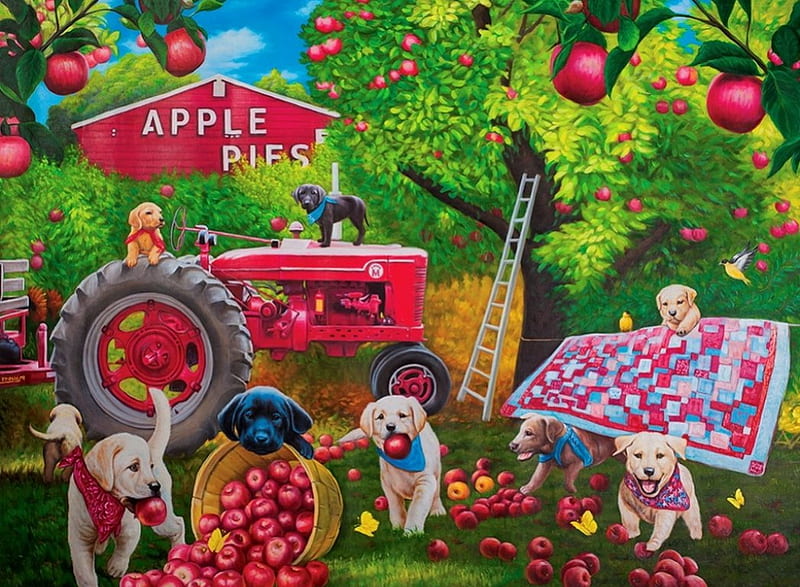 Garden helpers, colorful, help, apples, trees, sweet, farm, cute, l, puppies, garden, work, HD wallpaper