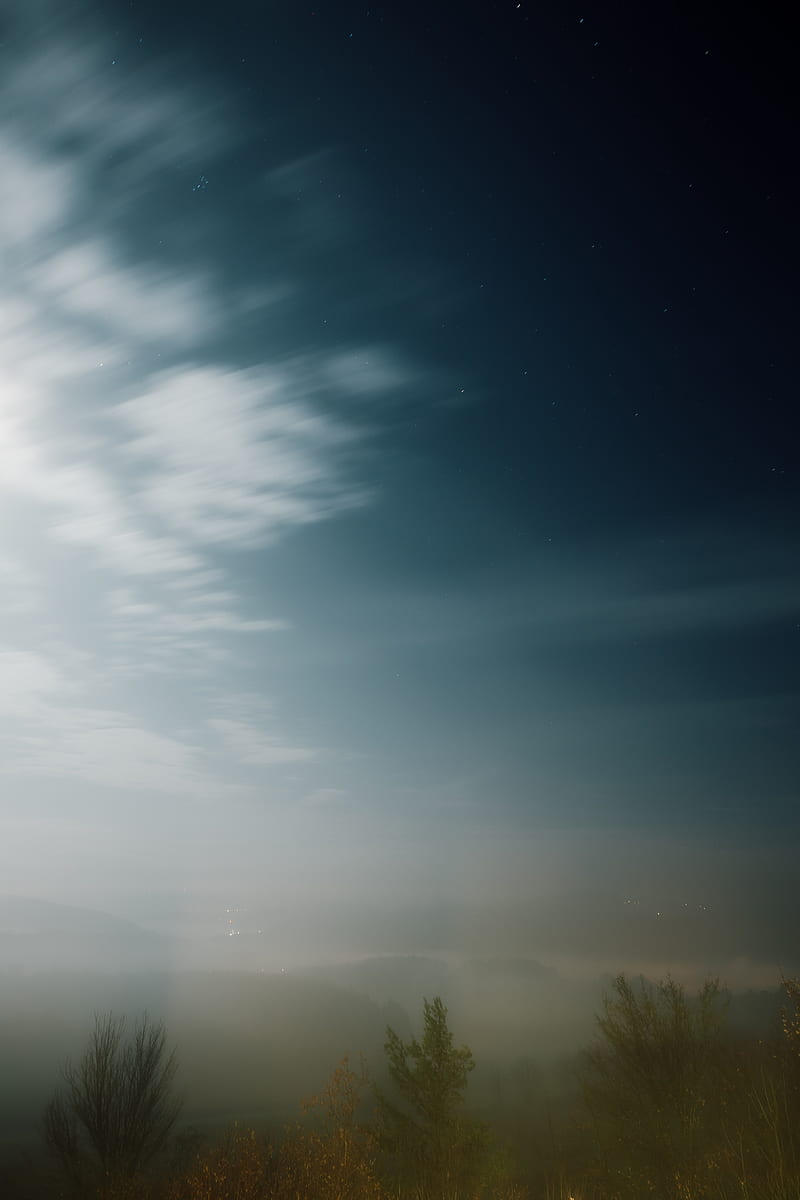 fog, trees, starry sky, night, HD phone wallpaper