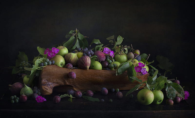 Food, Still Life, Fruit , Plum , Fig, HD wallpaper