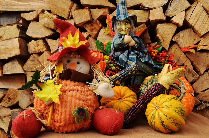 Fall Season, witch, leaves, halloween, pumpkins, corn cobs, HD wallpaper