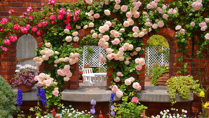 Rose Garden With White Table And Chair With White Fence Nature, HD wallpaper