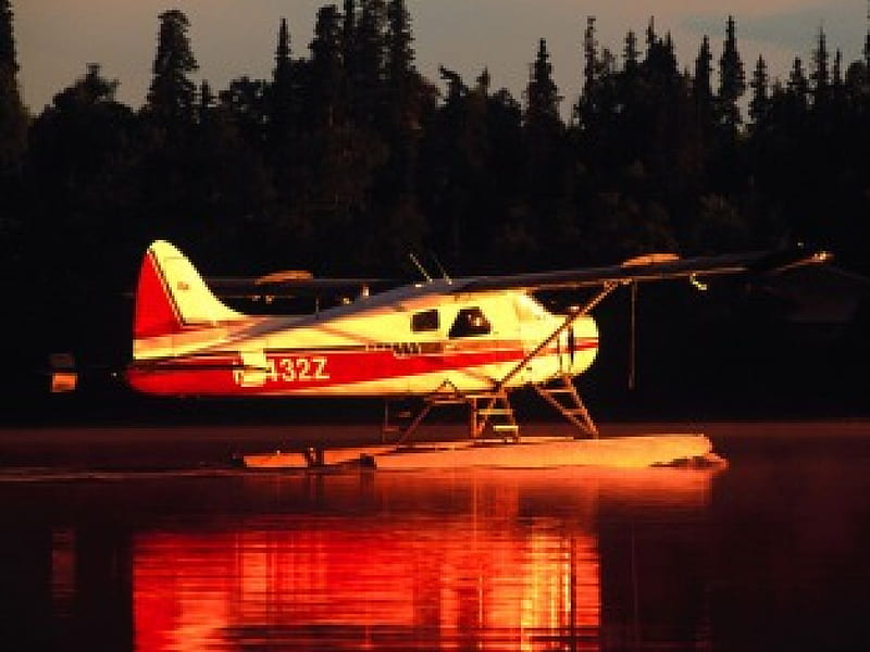 Beaver Floatplane, sundown, floatplane, beaver, HD wallpaper