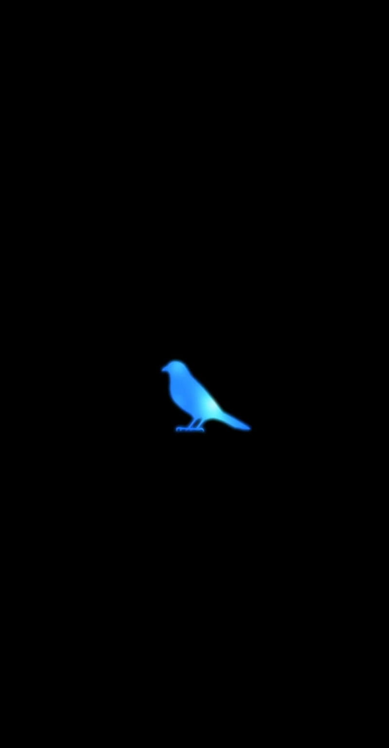 Blue bird, naruto shippuden, HD phone wallpaper