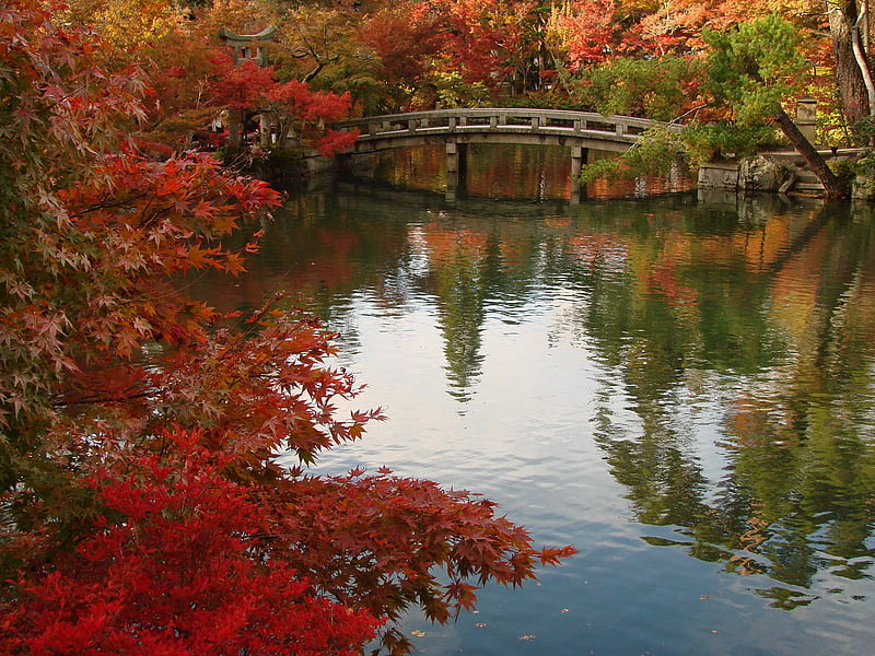 Emperor's Lake WDS, fall, bridges, trees, asia, leaves, graphy, japan ...