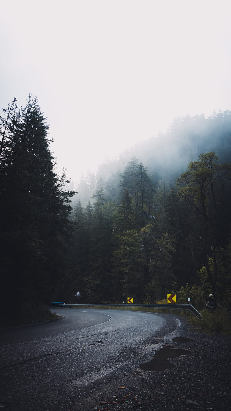road, forest, fog, turn, asphalt, trees, HD phone wallpaper