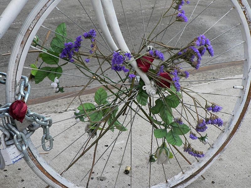 flower bicycle, bicycle, flowers, wheel, bonito, HD wallpaper