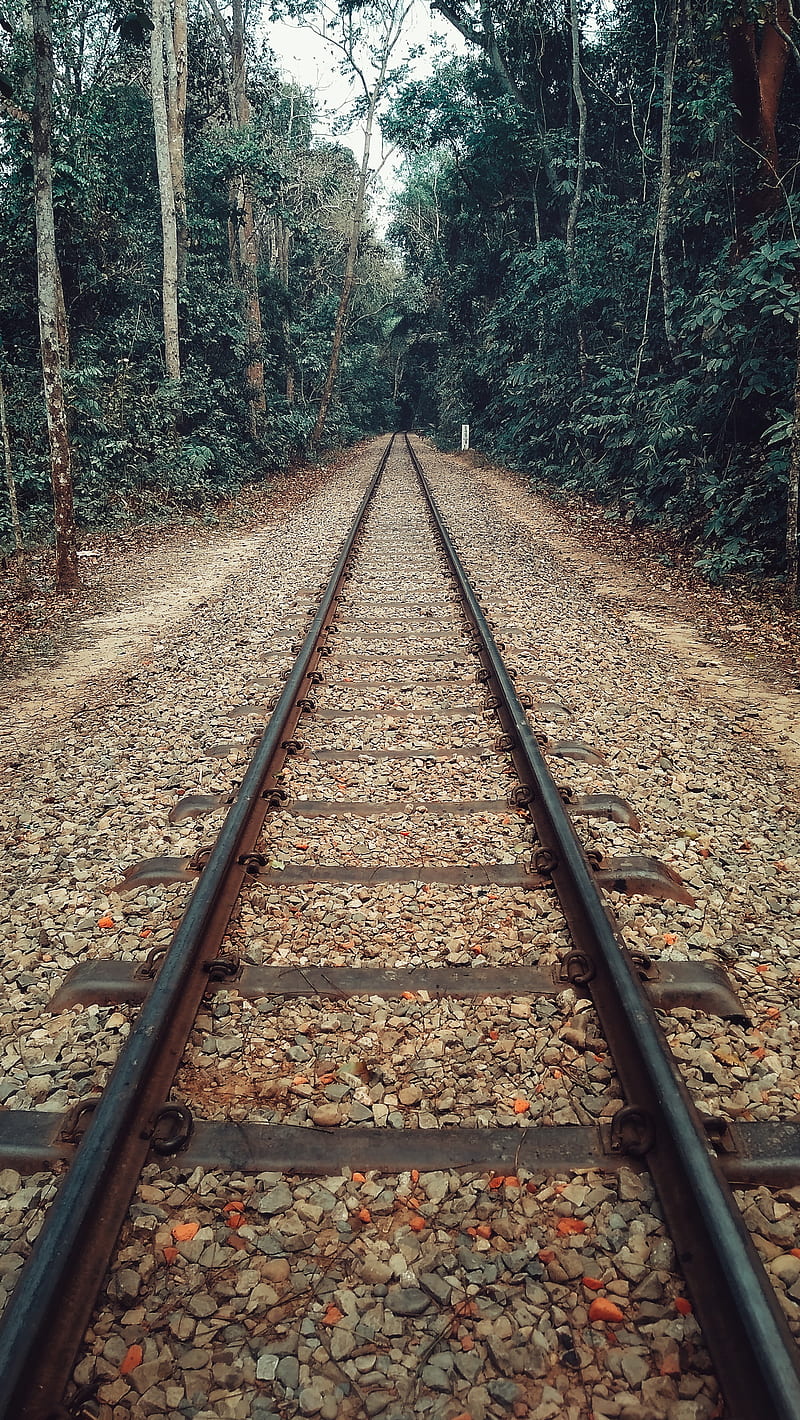 Rail Road, forest, green, nature, stones, trees, HD phone wallpaper