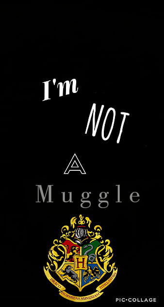 Don't Touch My Phone Muggle | Harry Potter Wallpaper