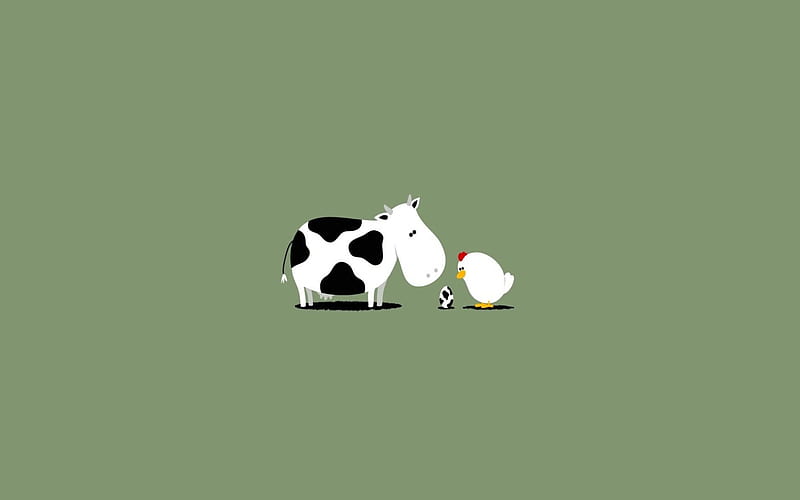 Funny, Cow, Egg, Chicken, Animals, HD wallpaper