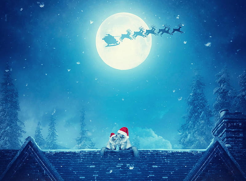 Magical Christmas, roof, craciun, moon, christmas, silhouette, cat, hat, charllieearts, moon, santa, reindeer, pisici, white, blue, HD wallpaper