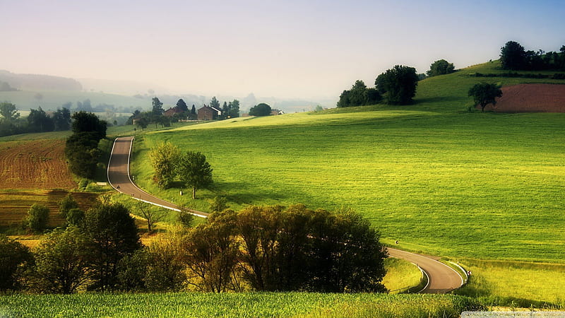 wonderful rural landscape, farms, fields, road, trees, fog, HD wallpaper