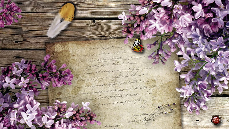 Lovely Lilacs, script feather, firefox persona, butterflies, lilacs, butterfly, paper, old letter, vintage, letter, HD wallpaper