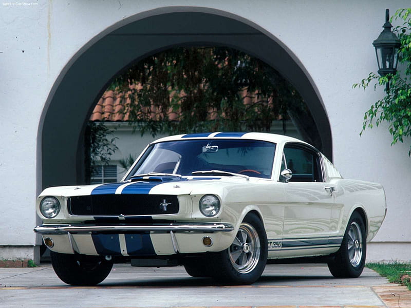 1965 Mustang GT-350 20 iconic pony cars, Classic, Blue Stripes, Ford, WHite, HD wallpaper