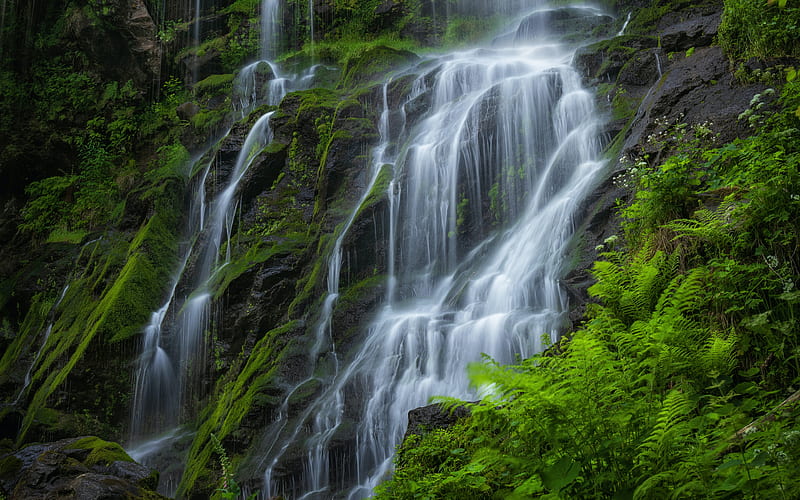 waterfall, bonito, rocks, fern, moss, HD wallpaper