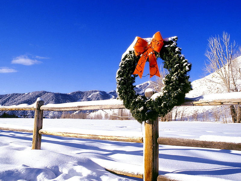 Holiday time, fence, wreath, tree, snow, nature, winter, HD wallpaper