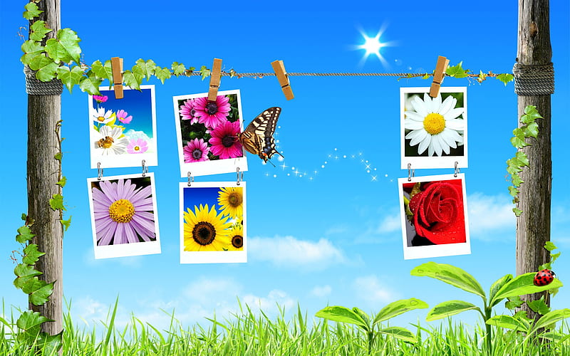 digital spiring, butterfly, grass, flowers, digital art, sky, HD wallpaper